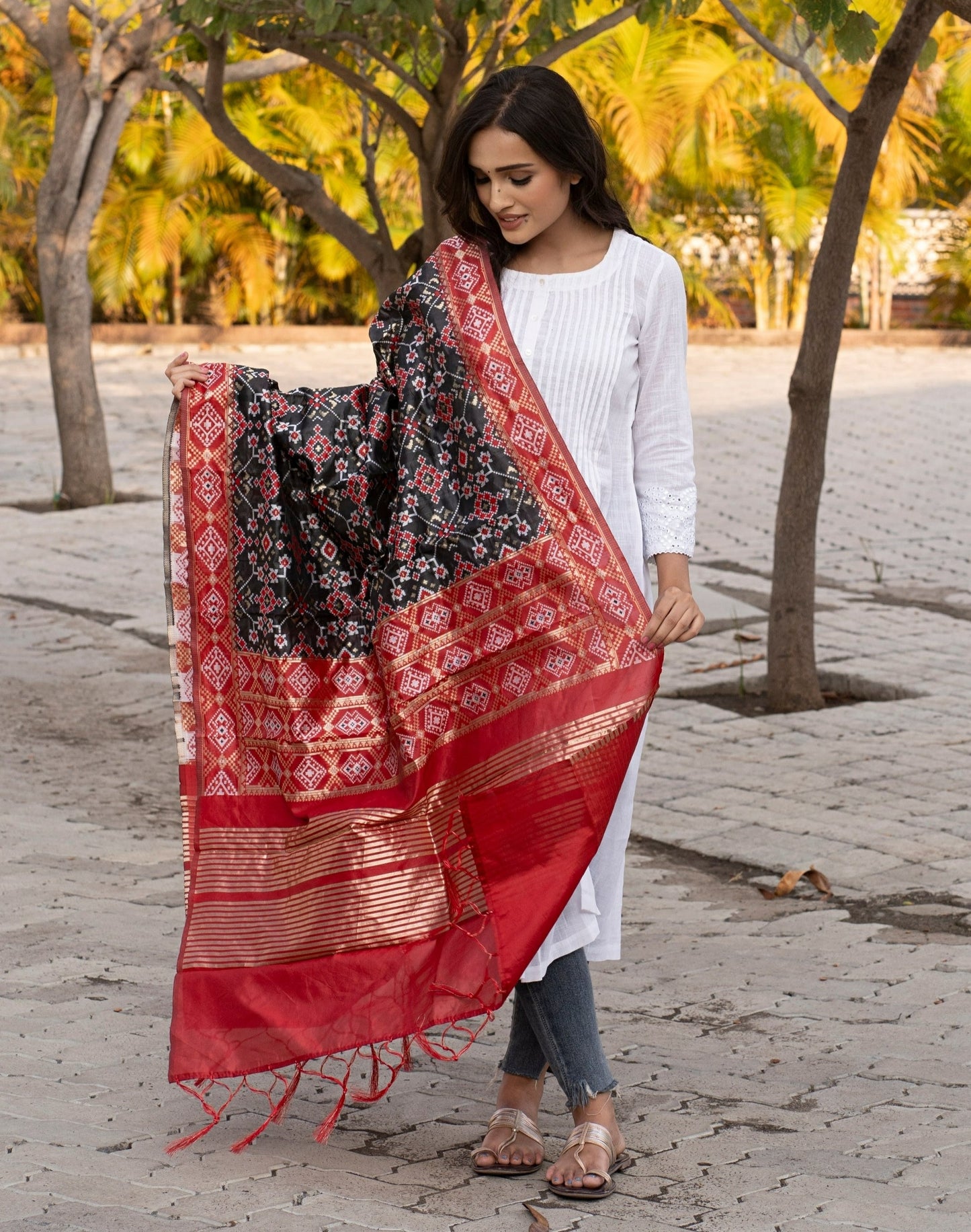 Traditional Patola Silk Dupatta [Black & Maroon]