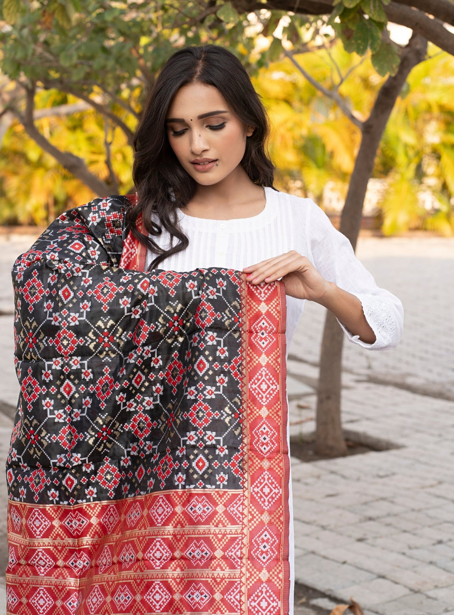 Traditional Patola Silk Dupatta [Black & Maroon]