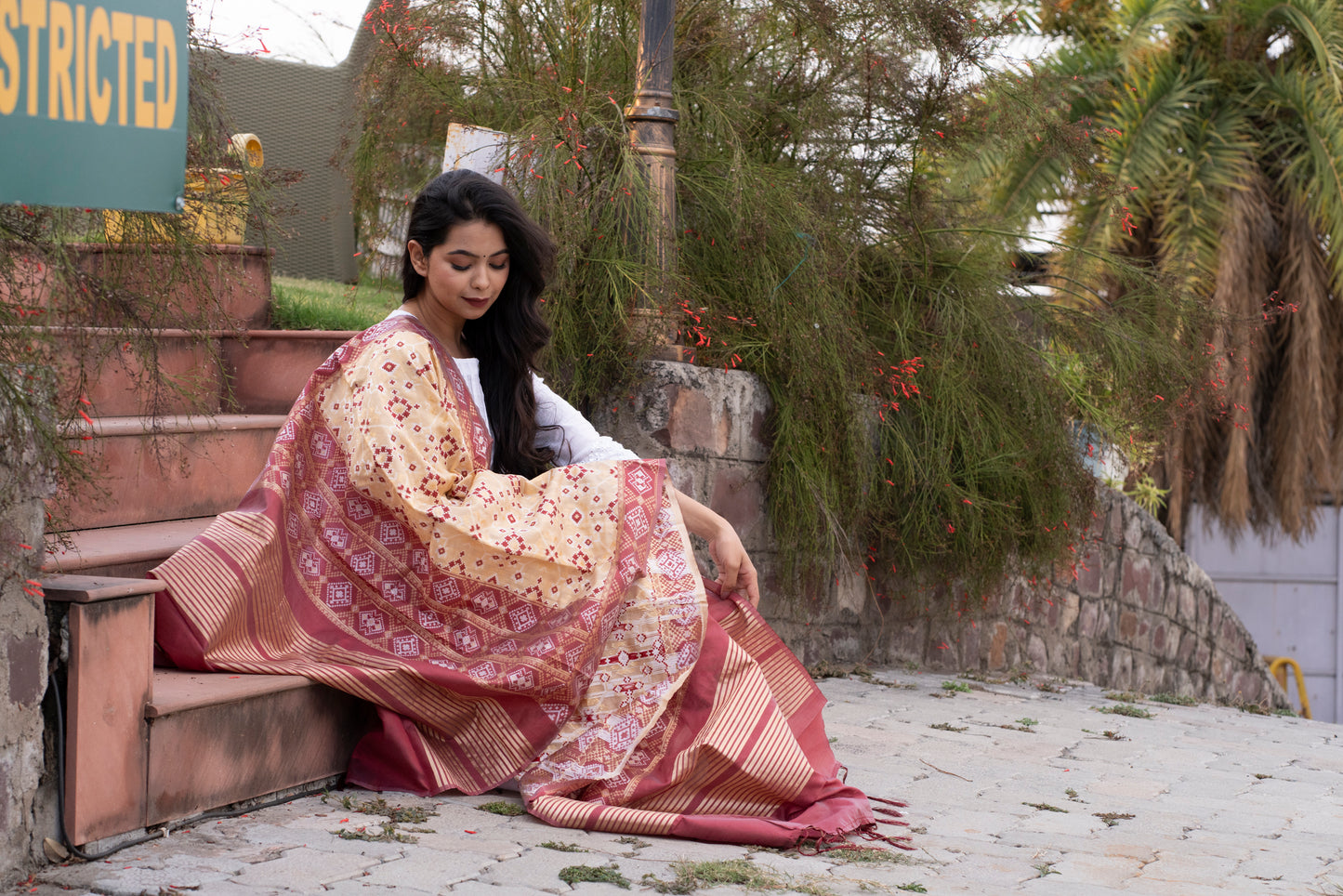 Traditional Silk Patola Dupatta [Gold & Maroon]