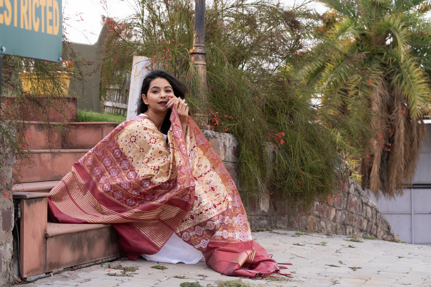 Traditional Silk Patola Dupatta [Gold & Maroon]